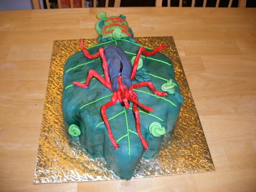 Assassin bug cake